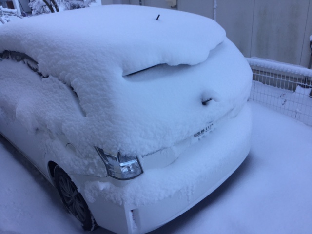 雪下ろし