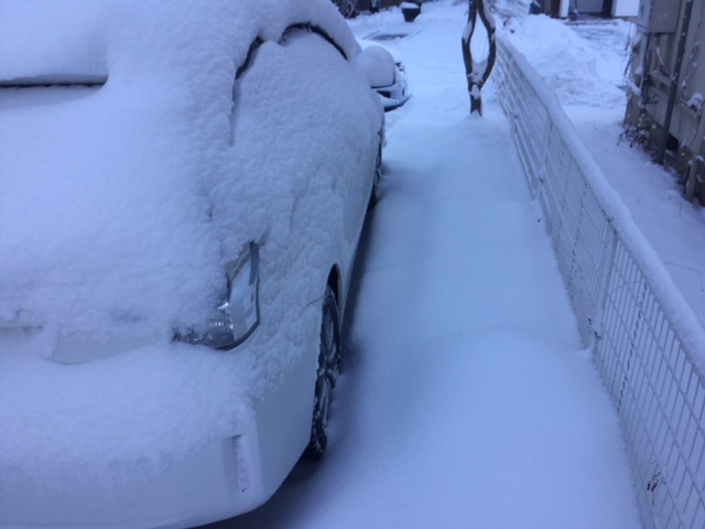 雪下ろし
