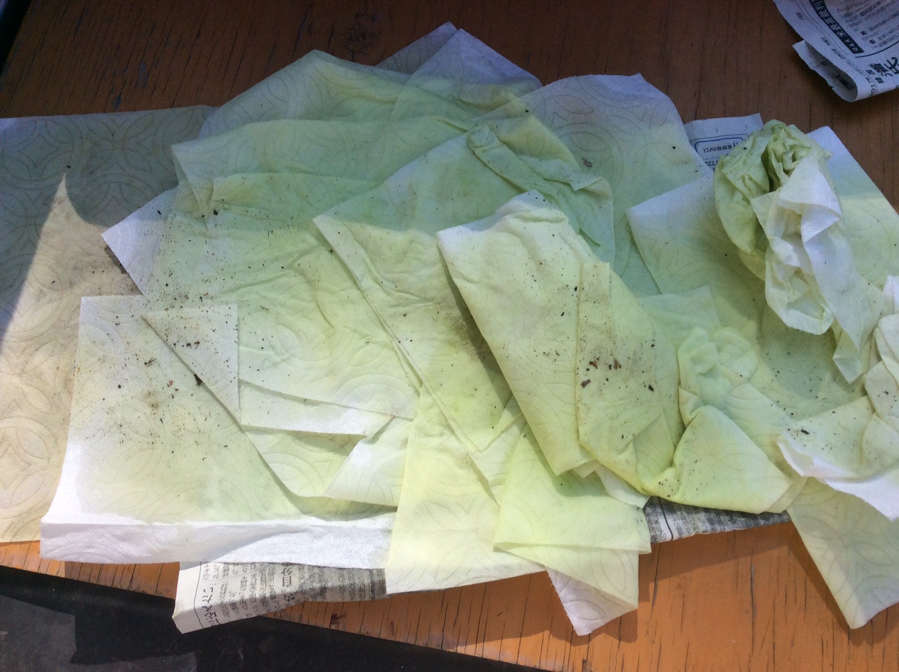 ç»åã®èª¬æ